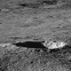 A view of the lunar surface captured by the Yutu 2 rover.